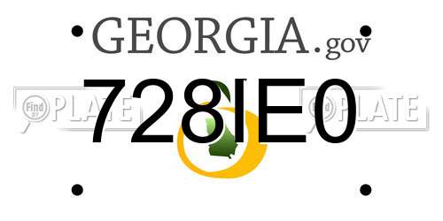 728IE0 Georgia License Plate