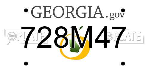 728M47 Georgia License Plate