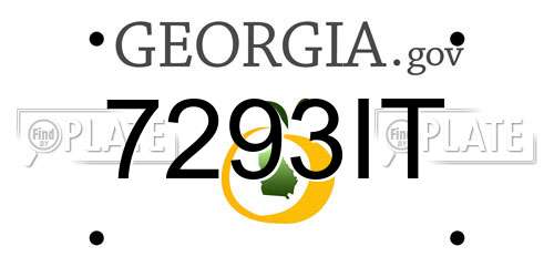 7293IT Georgia License Plate