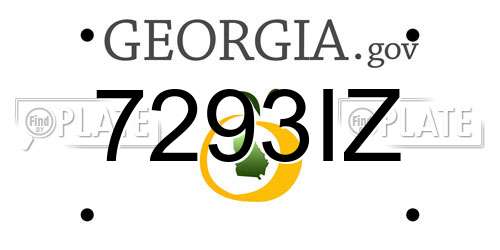 7293IZ Georgia License Plate
