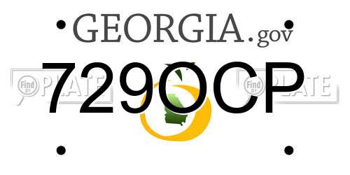 729OCP Georgia License Plate