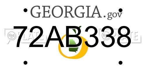 72AB338 Georgia License Plate