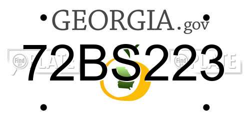 72BS223 Georgia License Plate