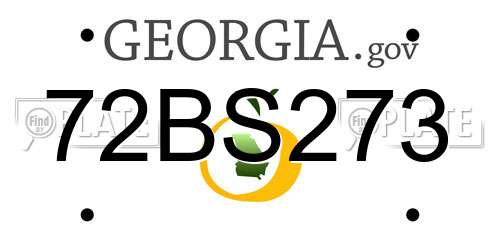72BS273 Georgia License Plate