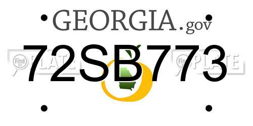 72SB773 Georgia License Plate