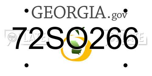 72SO266 Georgia License Plate