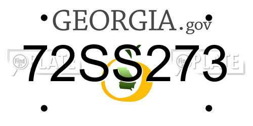 72SS273 Georgia License Plate