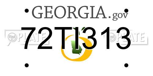 72TI313 Georgia License Plate
