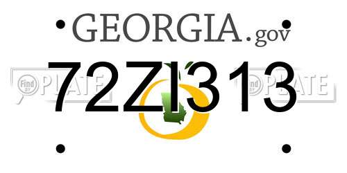 72ZI313 Georgia License Plate