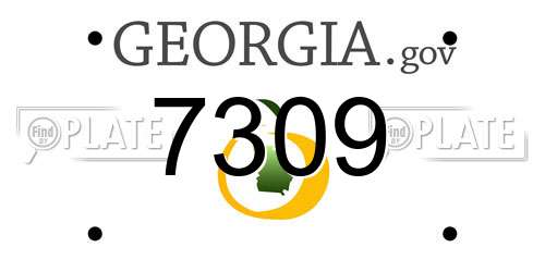 7309 Georgia License Plate