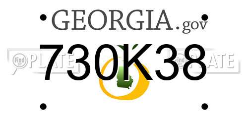730K38 Georgia License Plate
