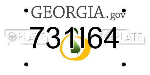 731I64 Georgia License Plate