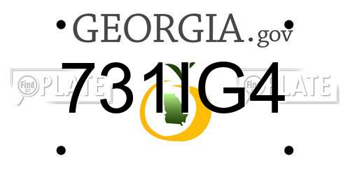 731IG4 Georgia License Plate