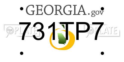 731TP7 Georgia License Plate