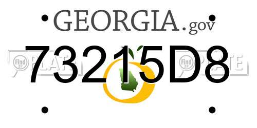 73215D8 Georgia License Plate