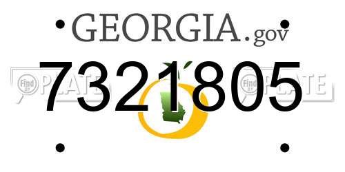 7321805 Georgia License Plate