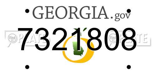 7321808 Georgia License Plate