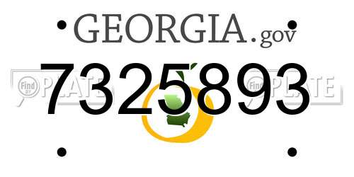 7325893 Georgia License Plate