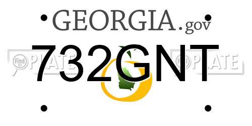 732GNT Georgia License Plate