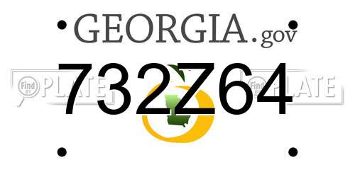 732Z64 Georgia License Plate