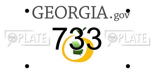 733 Georgia License Plate