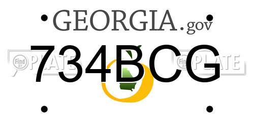 734BCG Georgia License Plate