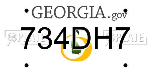 734DH7 Georgia License Plate