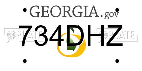 734DHZ Georgia License Plate