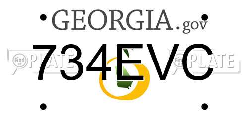 734EVC Georgia License Plate