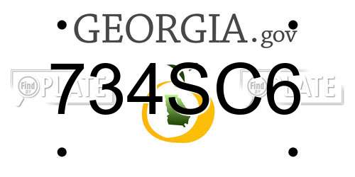 734SC6 Georgia License Plate