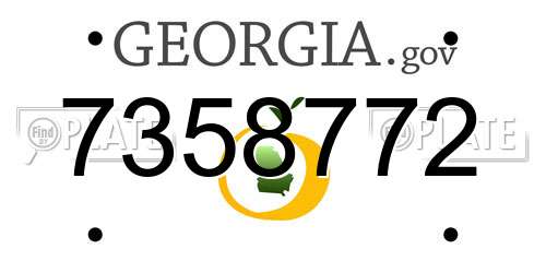 7358772 Georgia License Plate