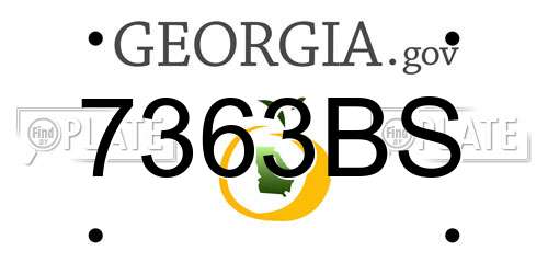 7363BS Georgia License Plate