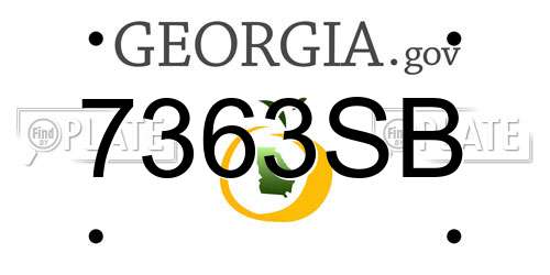 7363SB Georgia License Plate