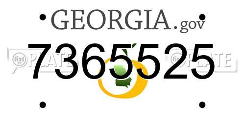 7365525 Georgia License Plate