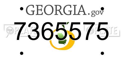 7365575 Georgia License Plate