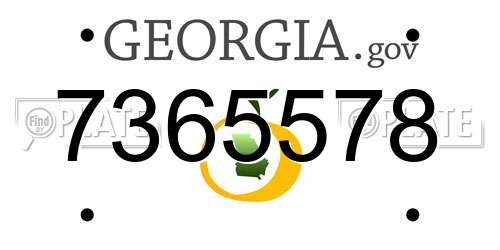 7365578 Georgia License Plate