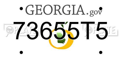 73655T5 Georgia License Plate