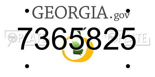 7365825 Georgia License Plate