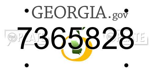 7365828 Georgia License Plate