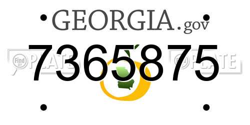 7365875 Georgia License Plate
