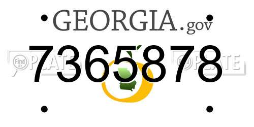 7365878 Georgia License Plate