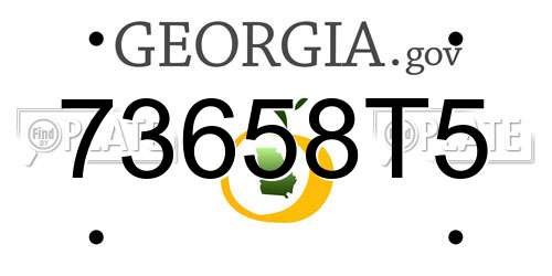 73658T5 Georgia License Plate