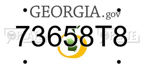 73658T8 Georgia License Plate
