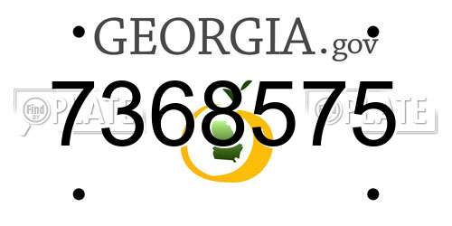 7368575 Georgia License Plate