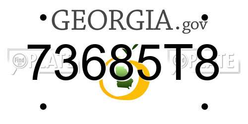 73685T8 Georgia License Plate