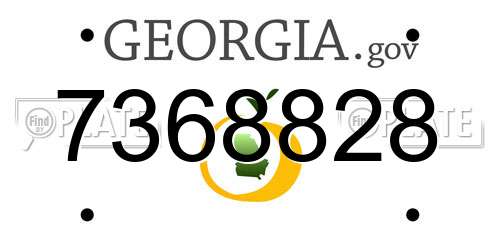 7368828 Georgia License Plate