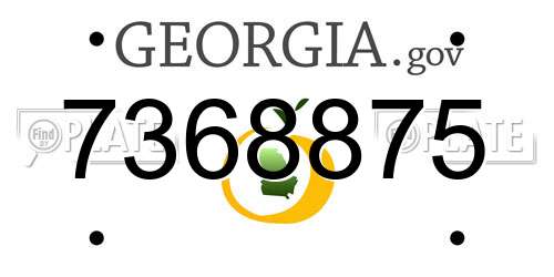 7368875 Georgia License Plate