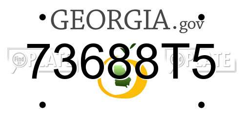 73688T5 Georgia License Plate