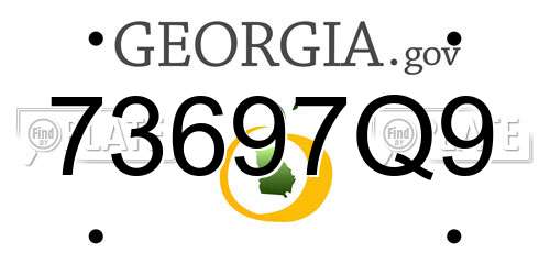 73697Q9 Georgia License Plate
