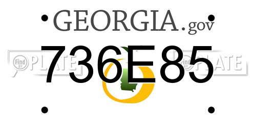 736E85 Georgia License Plate